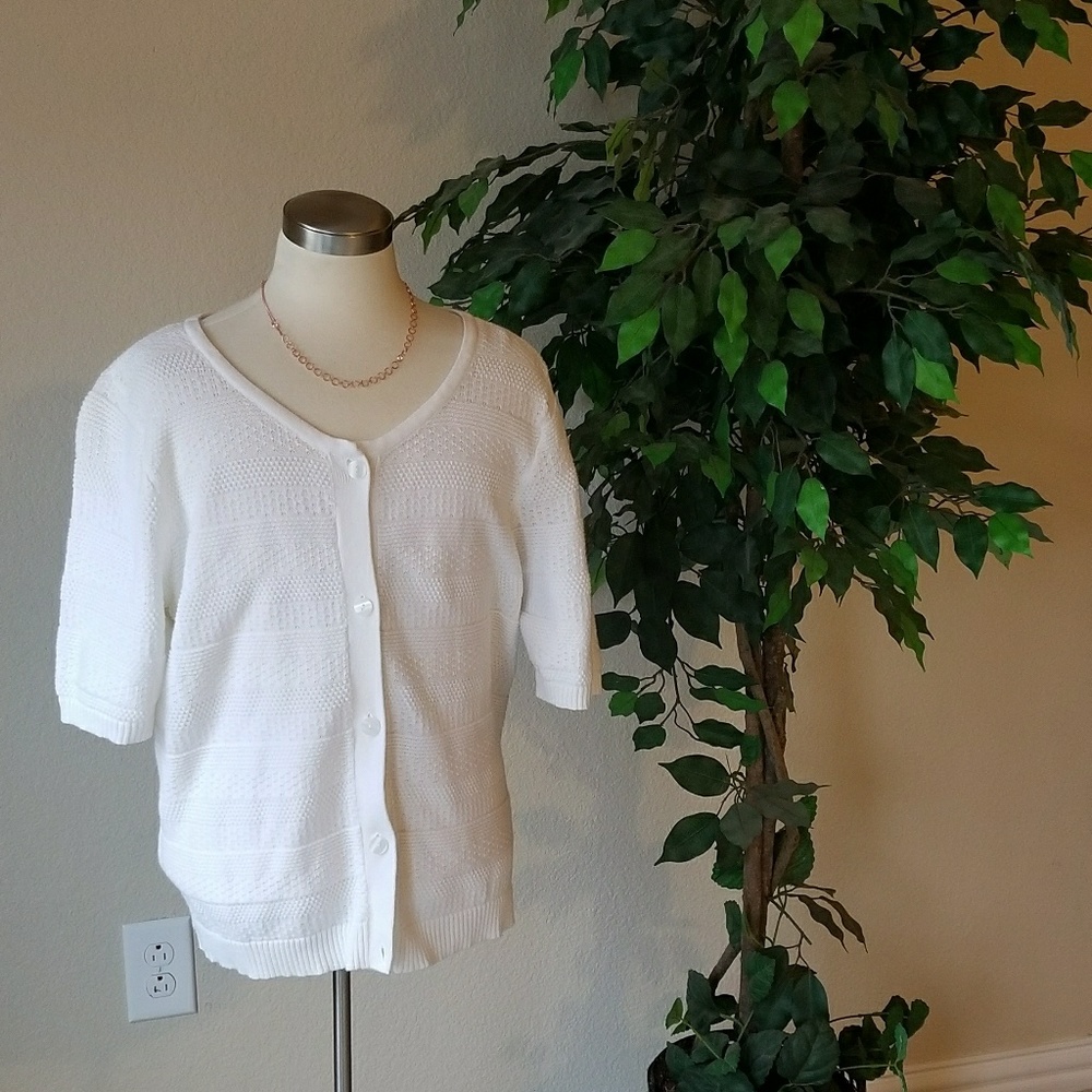 White button down sweater
